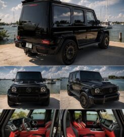 Exotics on the Coast