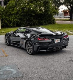 Exotics on the Coast