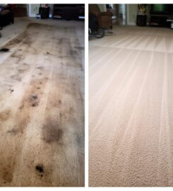 Next Level Floorcare + More