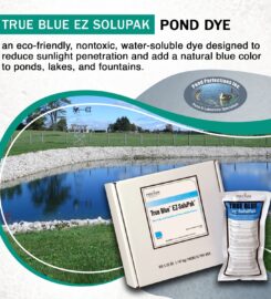 Pond Perfections