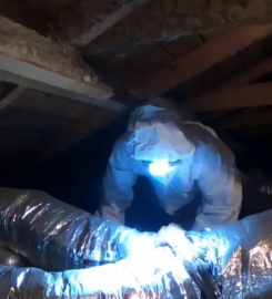 Rodent Solutions Glen Ellyn
